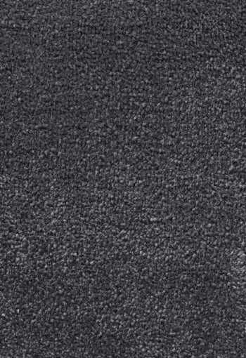 [metrazny-kobrec-sentiment-98-1.jpg]