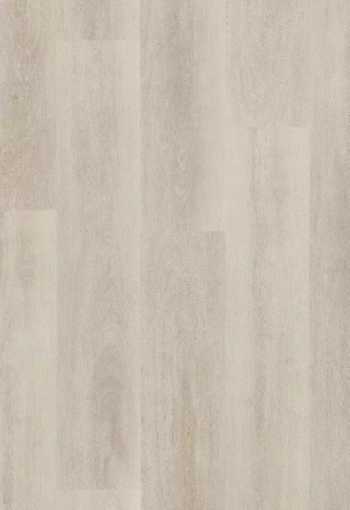 [dub_sinciang_02.jpg]