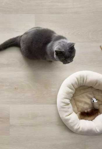 [dub_sinciang_04.jpg]