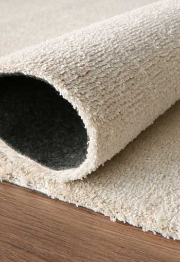 [behun-labrador-71351-056-2.jpg]