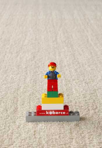 [behun-labrador-71351-056-3.jpg]