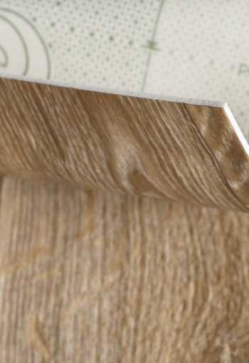 [pvc-evolution-raymond-02-2.jpg]