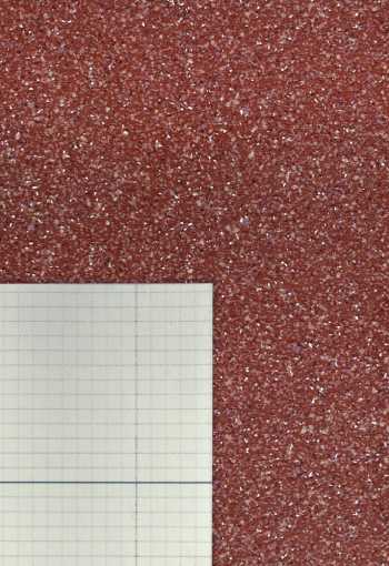 [pvc-rochester-carnival-917-3.jpg]