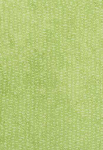 [pvc-xtreme-roxanne-550m-1.jpg]