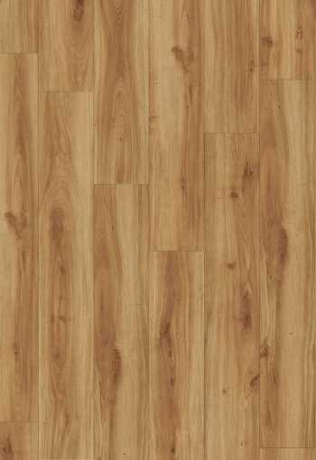 [clasic_oak_24235_1.jpeg]