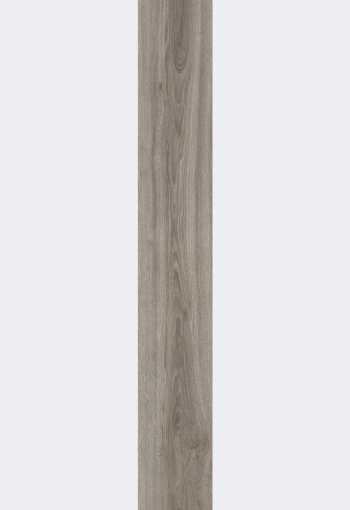[blackjack_oak_22937_2.jpg]