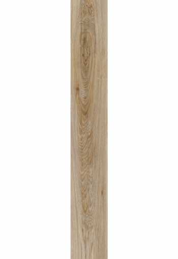 [blackjack_oak_22229_2.jpg]