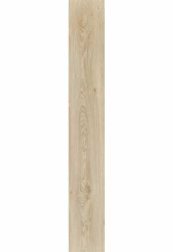 [blackjack_oak_22215_2.jpg]