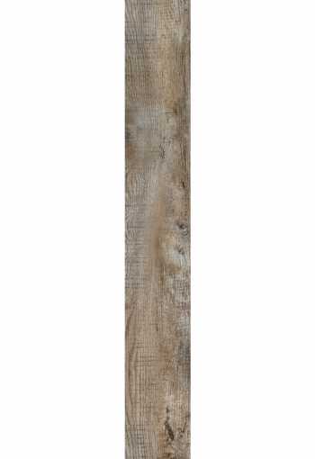 [country_oak_24958_2.jpg]