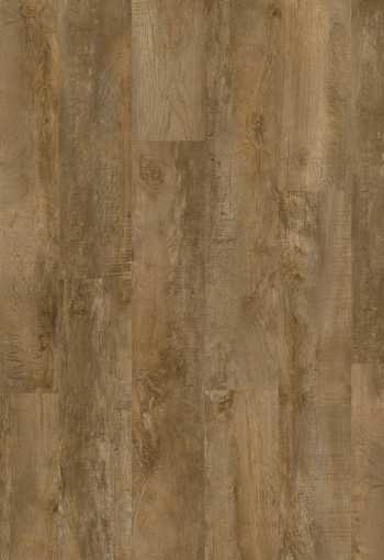 [country_oak_24842_1.jpg]