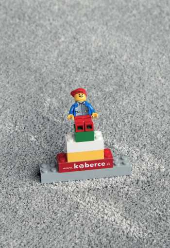 [behun-labrador-71351-60-3.jpg]