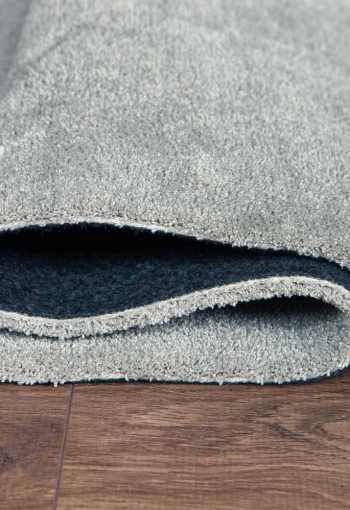 [behun-labrador-71351-60-4.jpg]