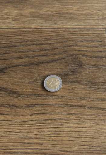 [pvc-reward-leonardo-2-2.jpg]