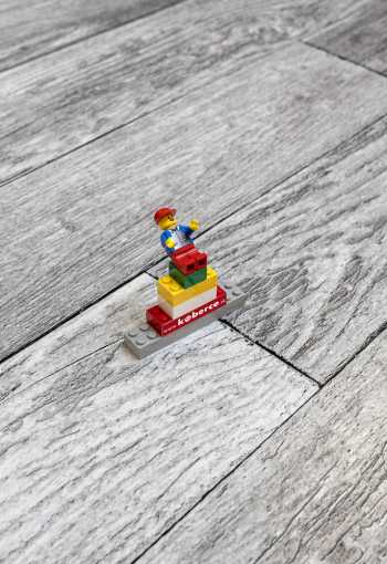 [pvc-maxima-eko-581-01-dallas-090-2a.jpg]