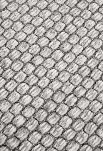 [106099_zoom1.jpg]