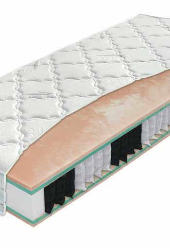 [matrac-trend-biogreen-bio-ex-1_1772709013.jpg]
