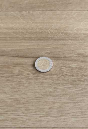 [pvc-renotex-sundance-oak-543-2.jpg]