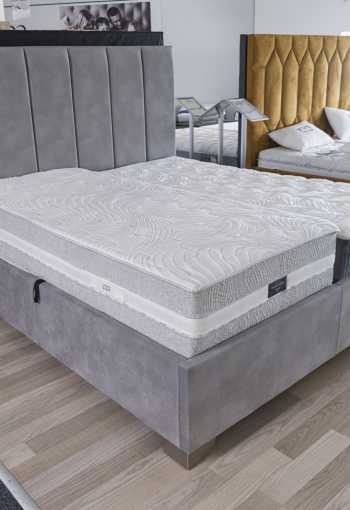 [postel-corium-1.jpg]