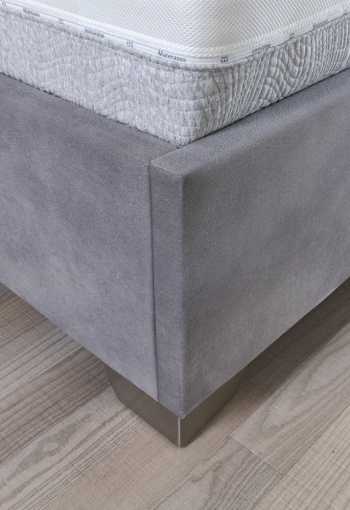 [postel-corium-2.jpg]