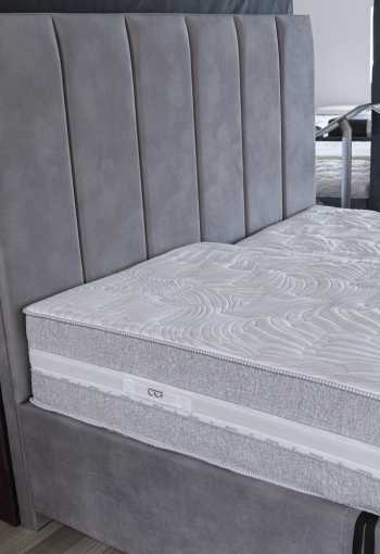 [postel-corium-3.jpg]