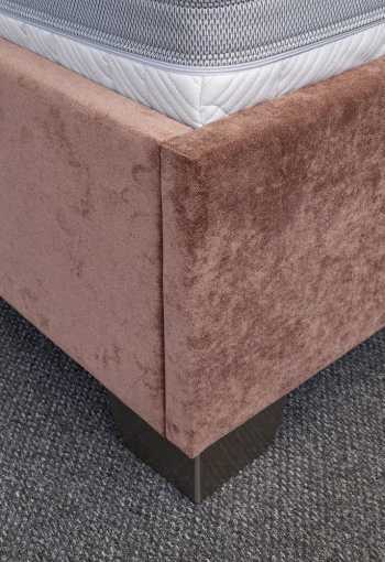 [postel-bellatrix-2.jpg]