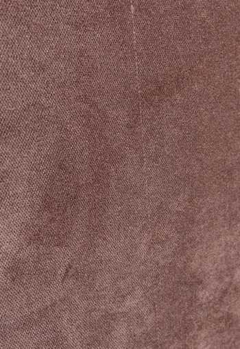 [postel-bellatrix-4.jpg]