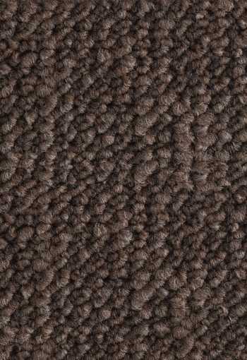 [kobercove-stvorce-desert-2021-1.jpg]