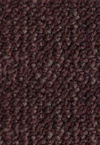 [kobercove-stvorce-desert-2117-1.jpg]