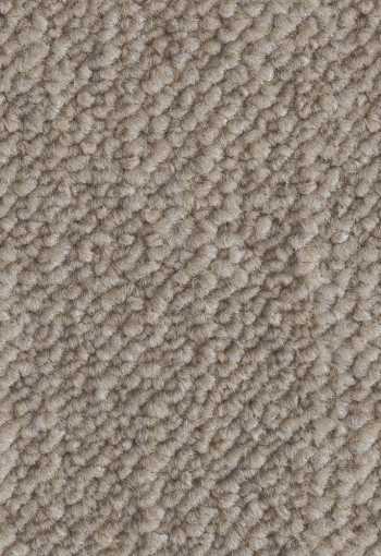 [kobercove-stvorce-desert-2928-1.jpg]