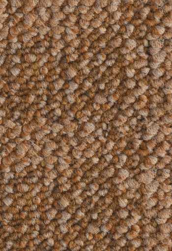 [kobercove-stvorce-desert-5402-1.jpg]