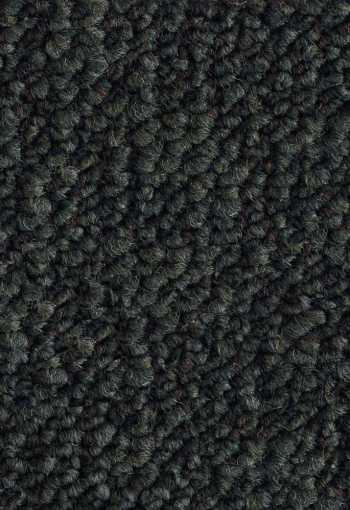 [kobercove-stvorce-desert-7921-1.jpg]