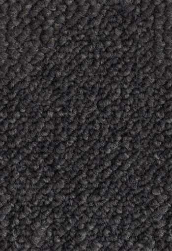 [kobercove-stvorce-desert-9093-1.jpg]