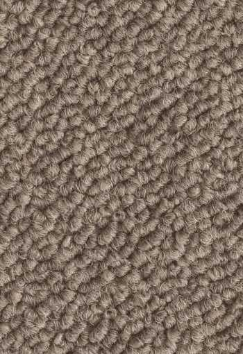 [kobercove-stvorce-essence-2925-1.jpg]