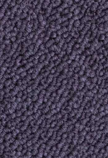 [kobercove-stvorce-essence-3820-1.jpg]