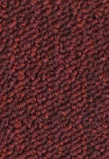 [kobercove-stvorce-essence-4218-1.jpg]