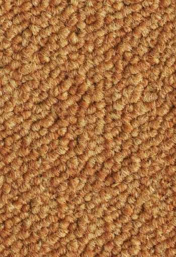 [kobercove-stvorce-essence-5420-1.jpg]