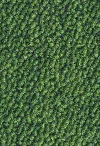 [kobercove-stvorce-essence-7123-1.jpg]