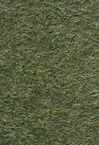 [travny-koberec-plaza-1.jpg]