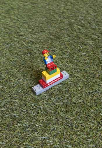 [travny-koberec-plaza-2.jpg]