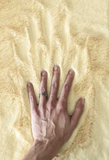 [kusovy-koberec-bunny-n35-1.jpg]