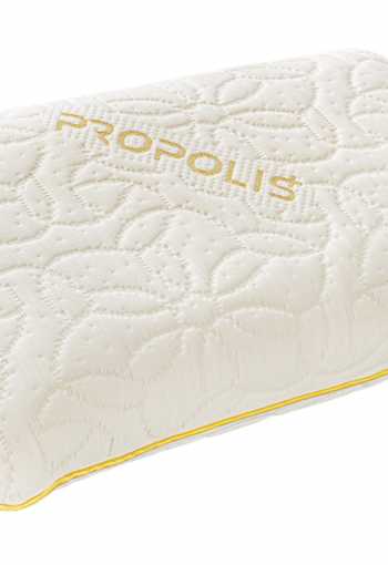 [anatomicky-vankus-propolis-1.jpg]