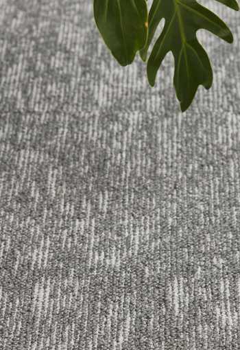 [kobercove-stvorce-grain-2.jpg]