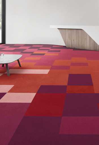 [kobercove-stvorce-palatino-2.jpg]