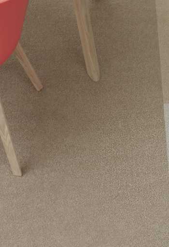 [kobercove-stvorce-palatino-6.jpg]