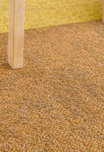 [kobercove-stvorce-recharge-2.jpg]