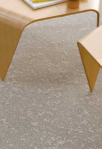 [kobercove-stvorce-retrace-3.jpg]