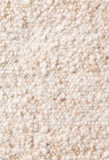 [106343_zoom_behun.jpg]