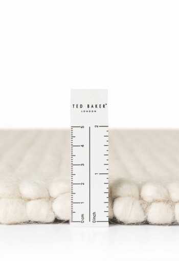 [106365_r_zoom2.jpg]