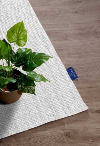 [106326_det3_behun_1770805501.jpg]