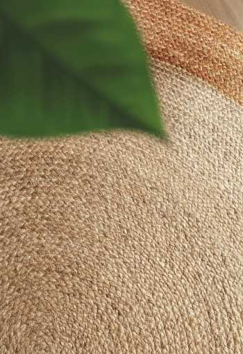 [106225_mil2_1770815750.jpg]